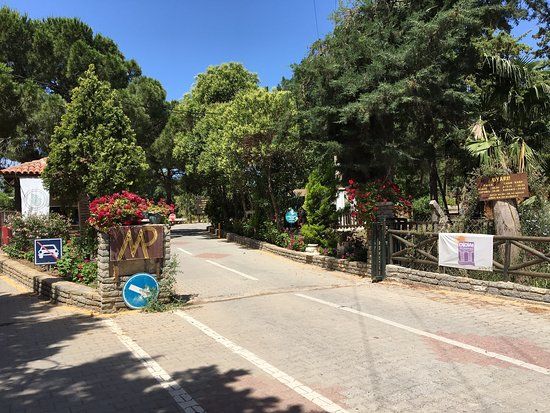 Tavsanburnu Orman KampI